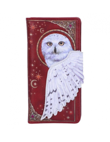 Cartera Tarjetero Magical Flight en relieve 18,5 cm